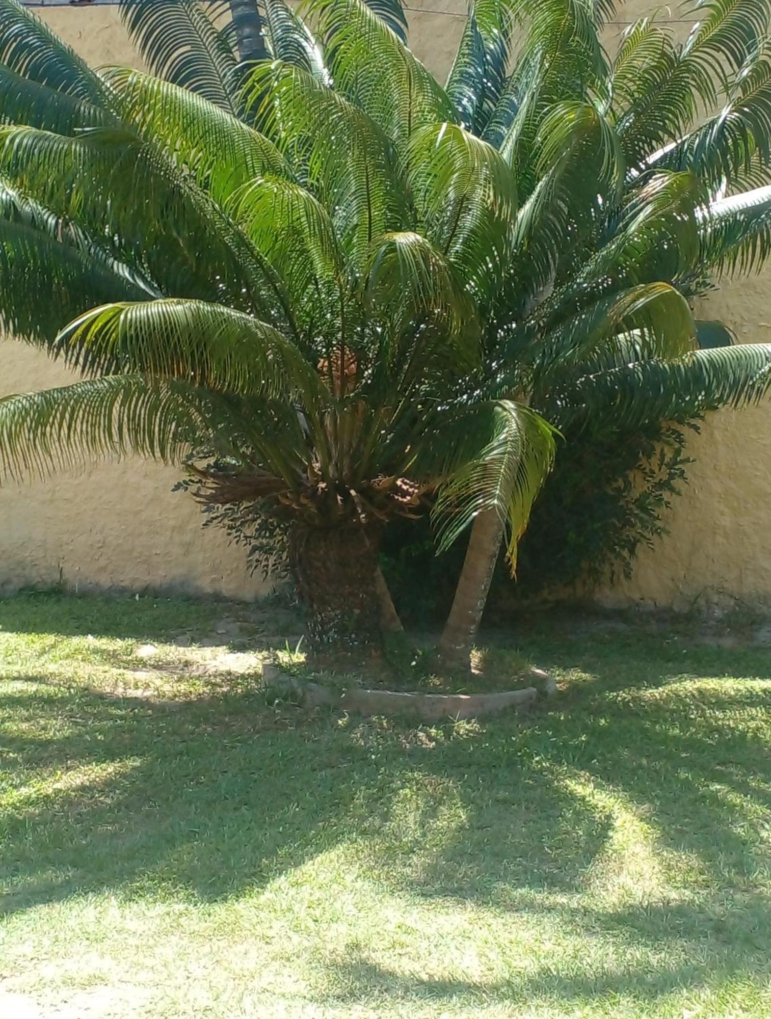 Ap Buzios Apartment Exterior photo